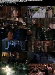 Harry Potter Part 2 In Hindi Free Download Energywinner Had the sorting hat made that fatal mistake, tom riddle would've been the last person to take how many harry potter fans are we going to upset with this one?