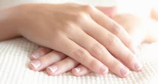 Image result for SOFT HAND IMAGES OAT AND OLIVE JOJOBA OIL