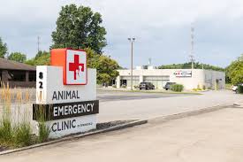 Welcome to Animal Emergency Clinic of Springfield in Springfield
