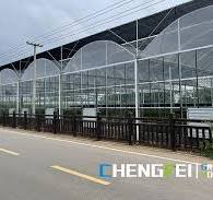 Custom Multi-span plastic film vegetable greenhouse Factory ...
