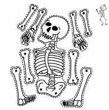 Dessin a imprimer squelette pirate is important information accompanied by photo and hd pictures sourced from all websites in the world. Epingle Sur Coloriage Dessin Imprime