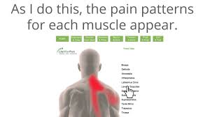 How To Use The Free Trigger Point Charts Triggerpointcharts