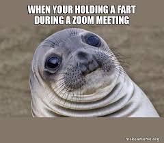 When Your Holding A Fart During A Zoom Meeting Squeamish Seal Make A Meme
