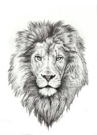 Tumblr Pepbk7tw4d1xeqk73o1 500 Jpg 410 565 Lion Head Tattoos Small Lion Tattoo Lion Tattoo