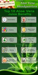 Awesome Top 10 Aloe Vera Juice Benefits Click Image To Read About Why You Should Be Taking Aloe Ve Aloe Vera Juice Benefits Aloe Vera Juice Aloe Vera Benefits