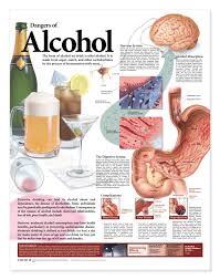 dangers of alcohol anatomical chart second edition