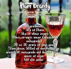 Plum Brandy Recipe Plums Brandy Brandy Recipe Brandy