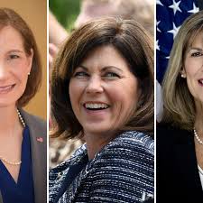 Candidates take shape in race for NYS Senate District 46