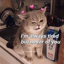 Ich Liebe Dich Sag Es Zuruck Auf Instagram Gerade F A K K S Folge Iloveyumore P5p2 Mir Oder Mehr In 2020 Cute Memes Uplifting Memes Love You Meme