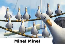 Nemo The Seagulls Finding Nemo｜Tiktok Search