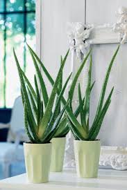 Bunga plastik mica acrylic hias pajangan meja kantor artificial flower. T J47r9fh8a2mm