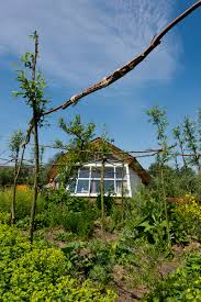 Bildergebnis für Nils Norman