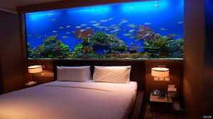 Dibawah ini adalah beberapa jenis tanaman air yang dapat anda pilih untuk akuarium air tawar. 30 Ide Keren Contoh Model Aquarium Halaman Rumah Aneka Model Rumah