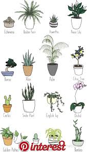 Pin By Iza Belina On Flower Indoor Plants Succulents Garden Plant Decor Pin By Iza Belina On Flower Indoo Indoor Flowering Plants Indoor Flowers Plants