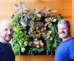 See more ideas about vertical succulent gardens, succulents garden, succulents. Easy Diy Succulent Vertical Garden Project Plants On Walls