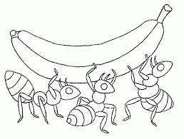 Your email address will not be published. Ant Pictures For Kids Coloring Home