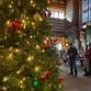 Winter Wonderland @ The Archway event image