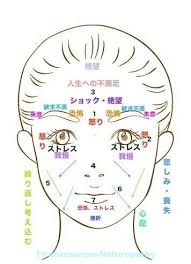 見ない日はない 自分の顔 女性なら誰でも肌の美しさに憧れ シワは人生の履歴であったとしてもできれば欲しくないもの 今日は 顔のシワについてなぜできるのかということをみてみましょう そして 顔のシワ 顔 履歴 人生
