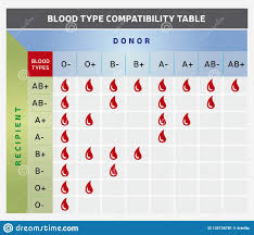 Blood Type Compatibility Table Chart With Donor And