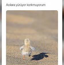 Komik Panosundaki Pin