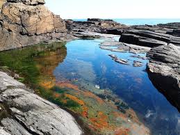 Two Lights State Park State Parks Visit Maine Outdoors Adventure