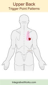 Pin On Exercise