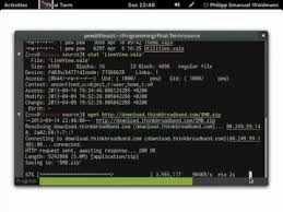 Final Term Terminal Emulator Linux Cyber Security Term