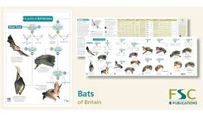 Fsc Bats Identification Guide