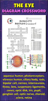 We did not find results for: Bone Cross Section Diagram Shefalitayal