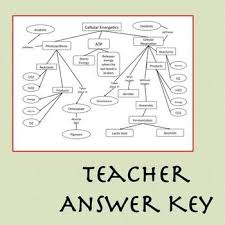 Photosynthesis Cellular Respiration Concept Map Photosynthesis And Cellular Respiration Cellular Respiration Photosynthesis