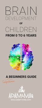 Brain Development Of Children From 0 6 Years Facts Every Parent Should Know Brain Development Children Early Childhood Education Curriculum Early Childhood Development