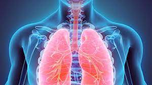 Tuberculosis (tb) is an infectious disease that usually affects the lungs, though it can affect any organ in the body. What You Need To Know About Tuberculosis Tb