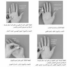 Pin By هبة الله المؤمن On تدليك Brain And Heart Stomach Heart Eyes