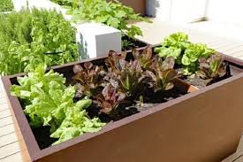 Garden box were very flexible with delivery dates. Top 4 Benefits Of Using Vegetable Planter Boxes Virily