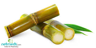 Cane chewing n also cane chew, cane chewing contest, ~ party, sugarcane chew(ing) gulf states. Sweeter Side Of Sugarcane That No One Told You About