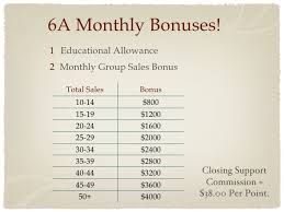 Enagic Pay Out Plan