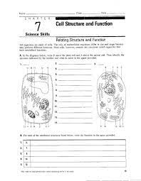 Cells Worksheet Plant Cells Worksheet Biology Worksheet