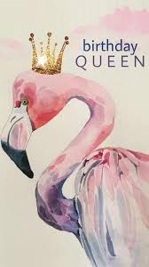 Flamingo Birthday Queen Flamingo Birthday Happy Birthday Pictures Birthday Wishes