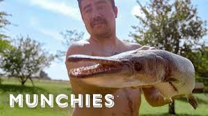 Maybe you would like to learn more about one of these? Cooking Alligator Fish Tacos The Ultimate Taco Tour Of Mexico Youtube