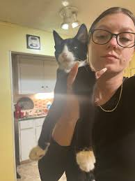 Lost kitten near Hudson Creek in Bryan