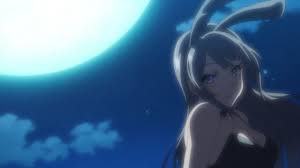Download mai sakurajima 4k wallpaper for free in 2048x1152 resolution for your screen. Mai Sakurajima Hd Pc Wallpaper Mai Sakurajima Bunny Girl Anime