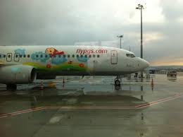 Pegasus privacy policy important notice: Pegasus Airlines Nice Plane Painting Story Allplane