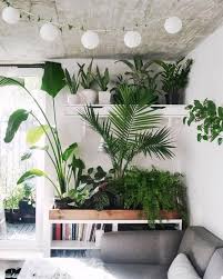 A plant stand can help you grow even more by maximising growing space, too. 50 Luxury European Living Room Decoration Ideas Interior Plants Indoor Plants Design