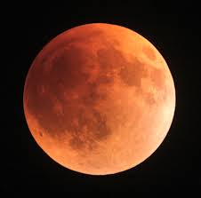 Image result for blood red moons 2007