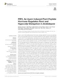 Maybe you would like to learn more about one of these? Pdf Pip2 An Auxin Induced Plant Peptide Hormone Regulates Root And Hypocotyl Elongation In Arabidopsis