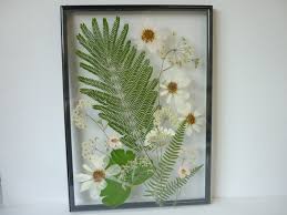 Pressed Flower Art Dried Pressed Flowers Art Green Leaves For Wall Art Floral Artwork Herbarium Art Pressed Floral Artwork Flower Artwork Pressed Flowers