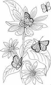 Dibujos Y Plantillas Para Imprimir Mariposas Y Flores Paginas Para Colorear De Flores Dibujos Para Colorear Adultos Libro De Colores