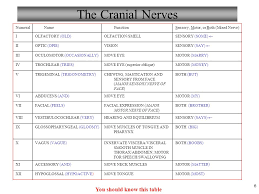 Anatomy And Physiology Peripheral Nervous System Ppt Video