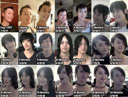 I decided to remake it. 53 Best Hrt Timeline Images On Pholder Transtimelines Transgender And Gay Sounds Shitposts
