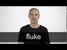 I omitted to mention that i don't eat meat. Fluke Definition And Meaning Collins English Dictionary
